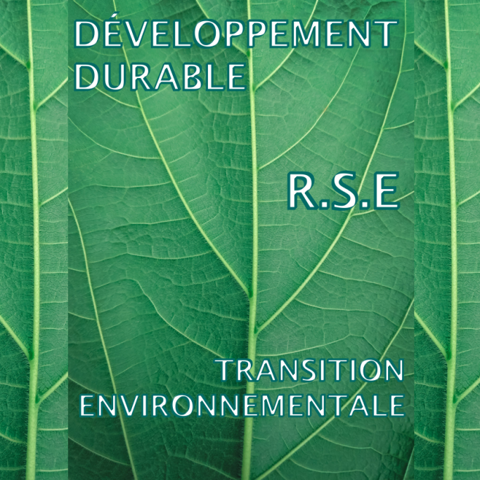 Développement durable, RSE, Transition environnementale