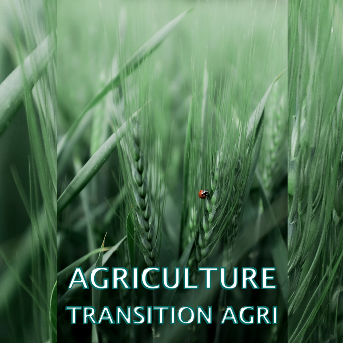 Agriculture, Transition Agri