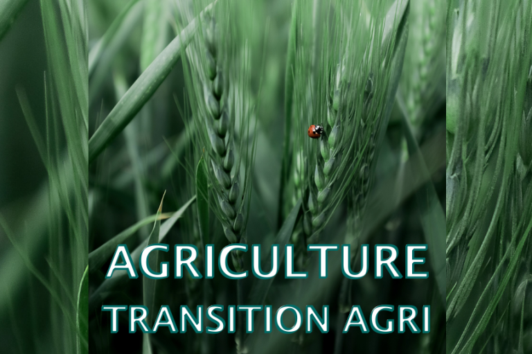 Agriculture transition agri