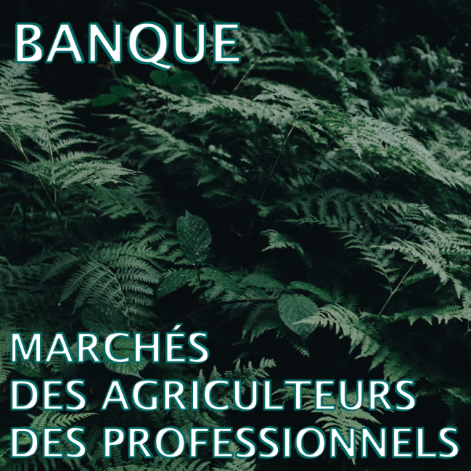 Banque, agriculteurs, professionnels